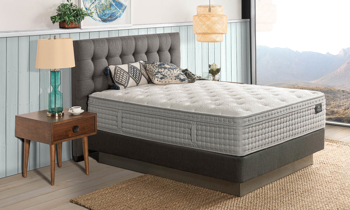 Detailed image of the Firm Euro Top Louise Mattress.