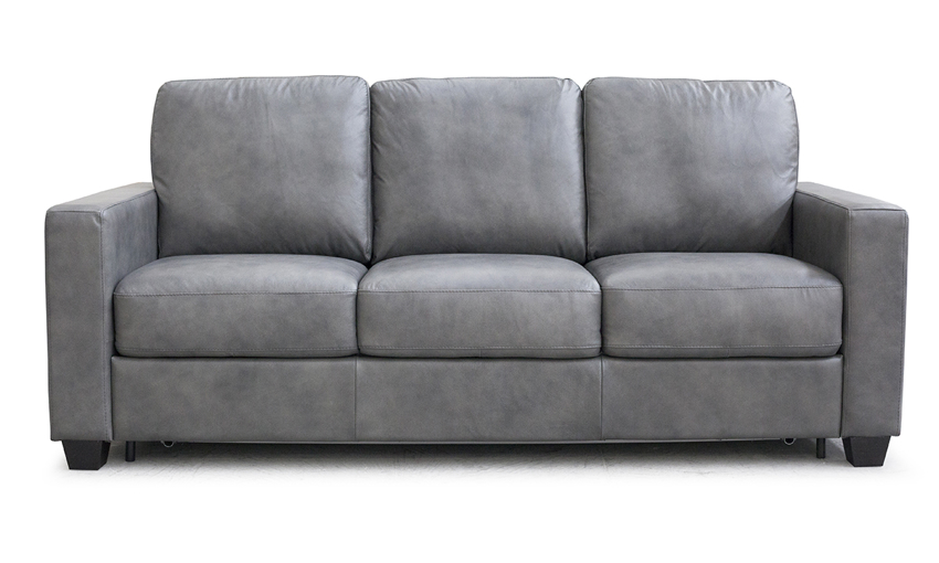 Sleeper Sofa Leather Orion Gray