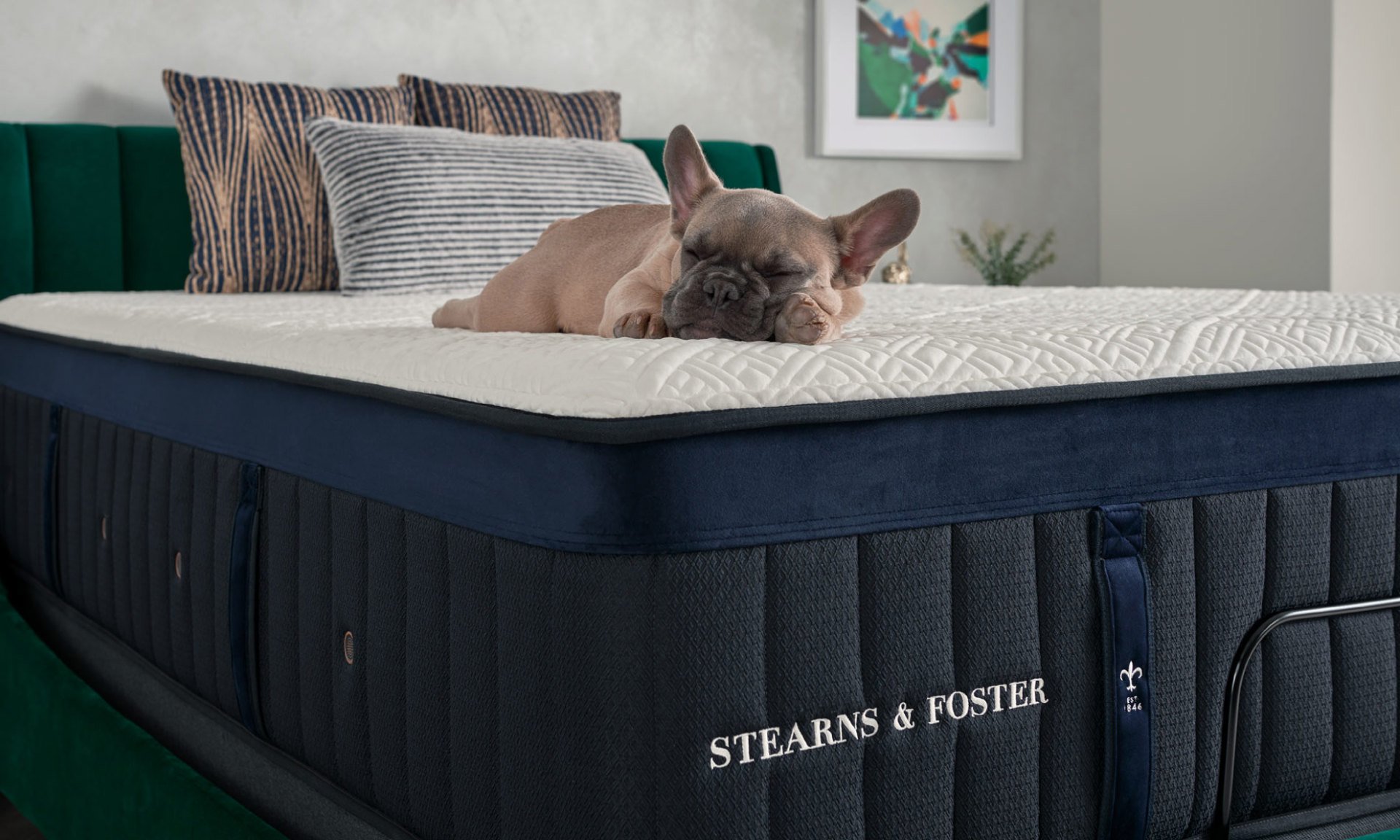 Stearns and Foster Mattresses are designed for comfort to helping you sleep soundly.