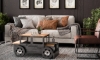 Picture of Vintage Glory Classic Storage Cocktail Table