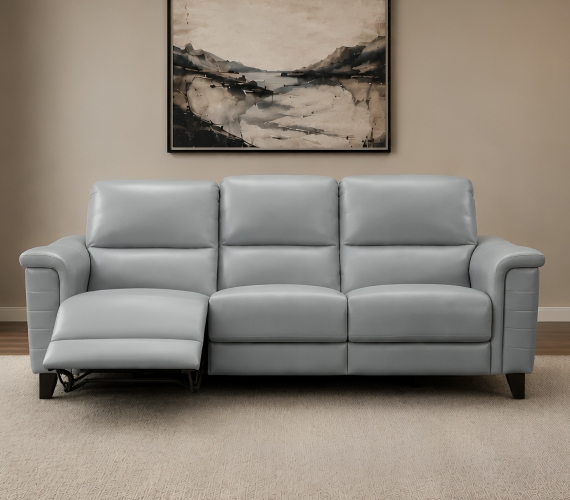 Top Grain Leather Sofa