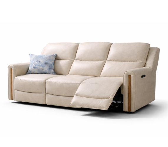 Leather Sectional