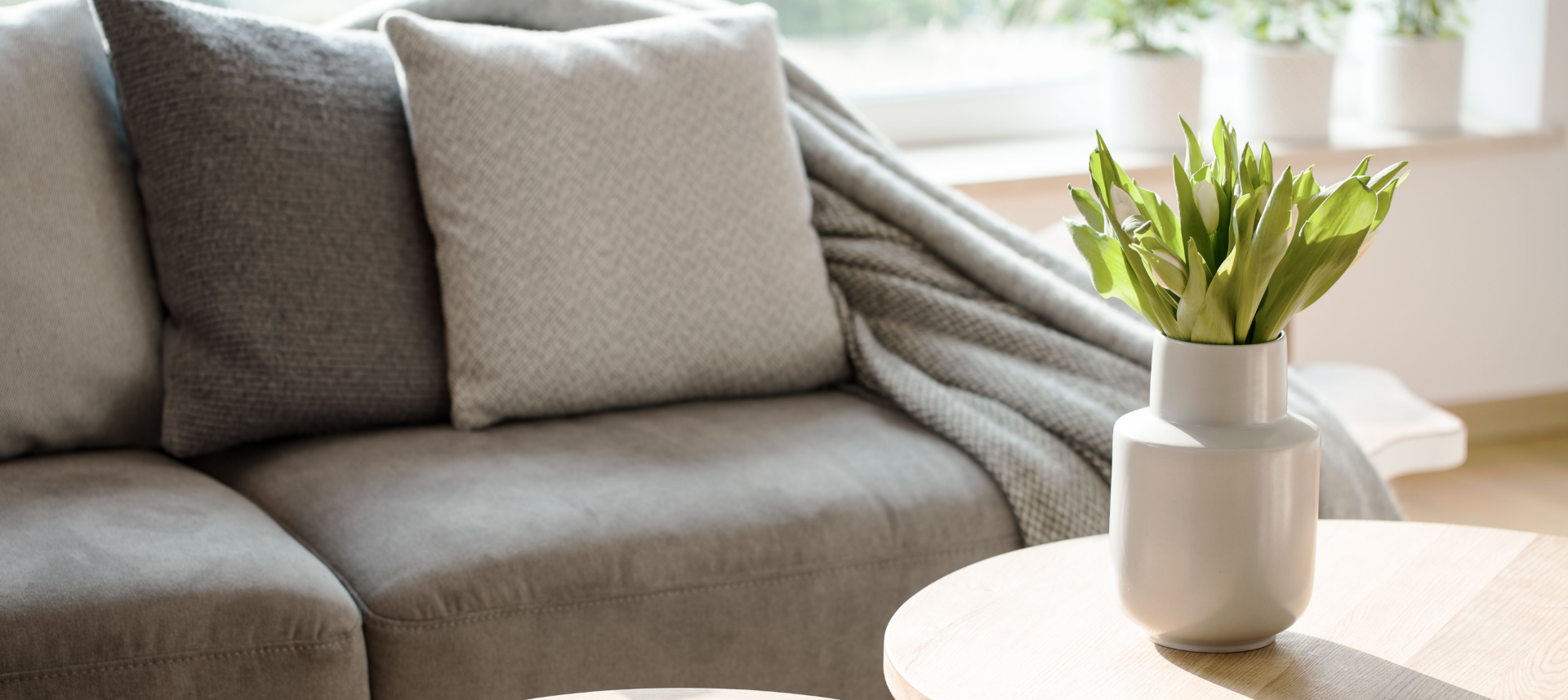 Couch Image